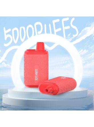 Big hit 4000 Puffs Disposable Device 10ml Lush Ice
