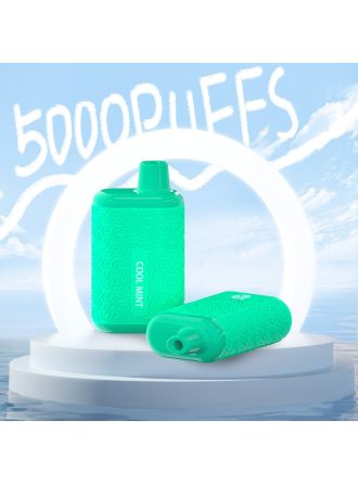 Big hit 4000 Puffs Disposable Device 10ml Cool Mint
